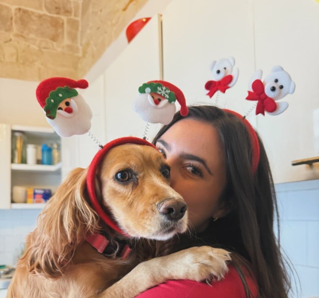 A sitter sharing a gentle cheek-to-cheek moment with a golden cocker spaniel at home